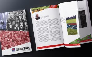 sfnl annual report